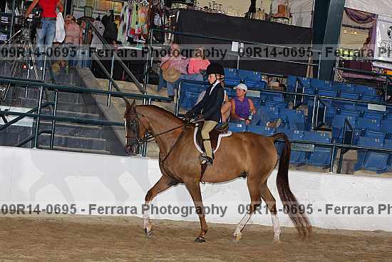 Proof 09r14-0695