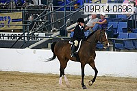 09r14-0696 proof