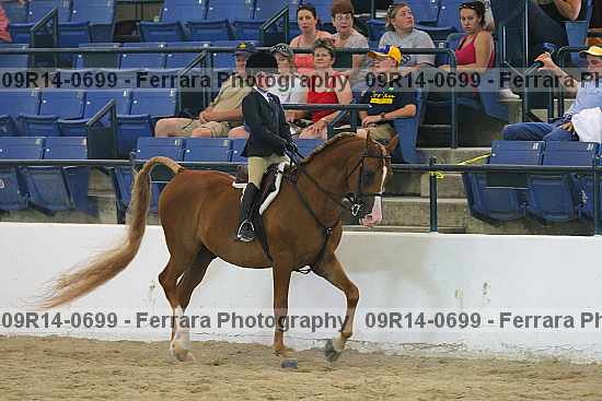 Proof 09r14-0699