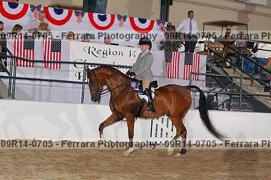 Proof 09r14-0705