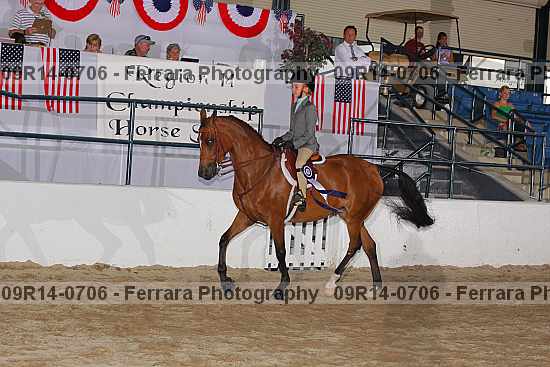 Proof 09r14-0706
