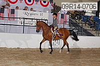 09r14-0706 proof