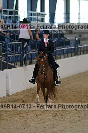 Proof 09r14-0713
