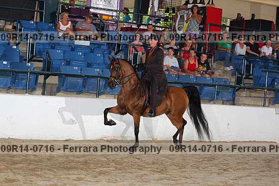 Proof 09r14-0716