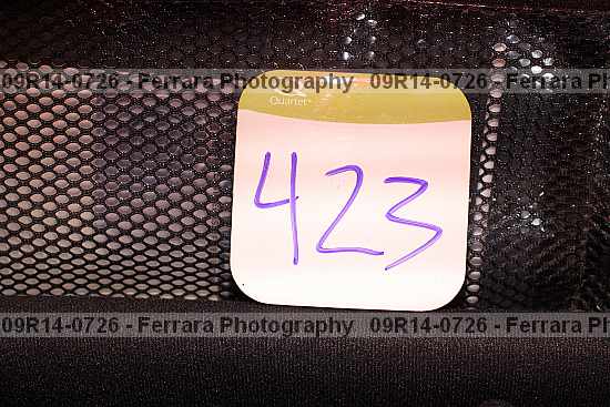 Proof 09r14-0726