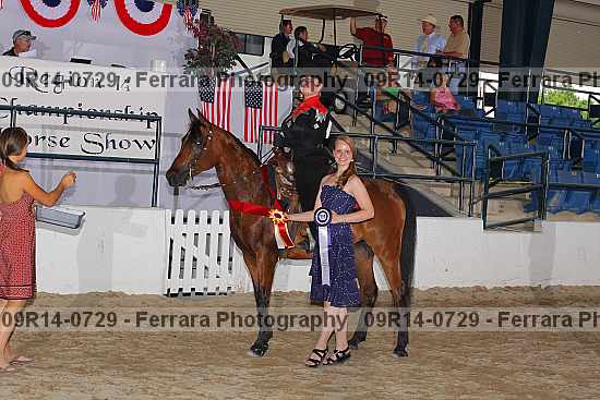 Proof 09r14-0729
