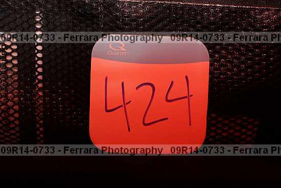 Proof 09r14-0733