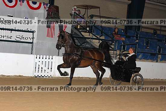 Proof 09r14-0736