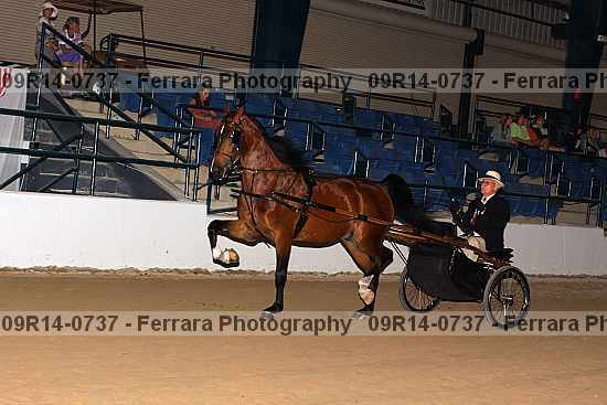 Proof 09r14-0737