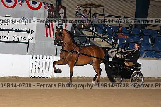 Proof 09r14-0738