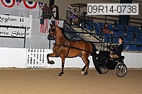09r14-0738 proof