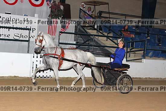 Proof 09r14-0739