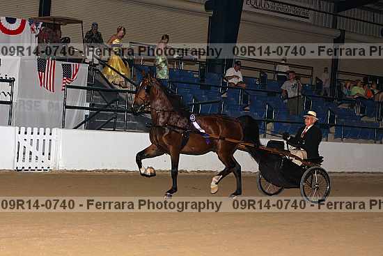 Proof 09r14-0740