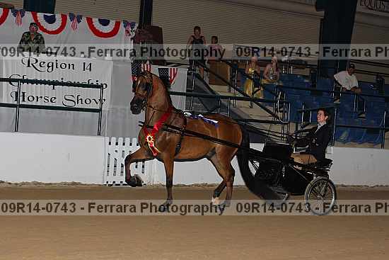 Proof 09r14-0743
