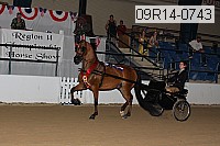 09r14-0743 proof