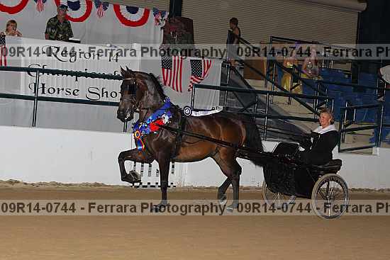 Proof 09r14-0744