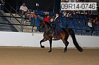 09r14-0746 proof
