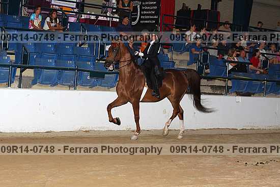 Proof 09r14-0748