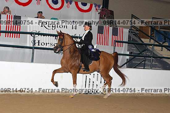 Proof 09r14-0754