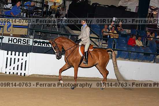 Proof 09r14-0763