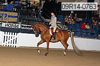 09r14-0763 proof