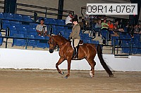 09r14-0767 proof