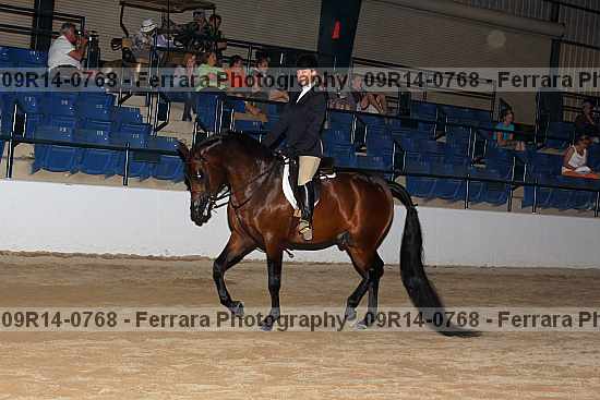Proof 09r14-0768