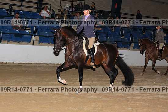 Proof 09r14-0771