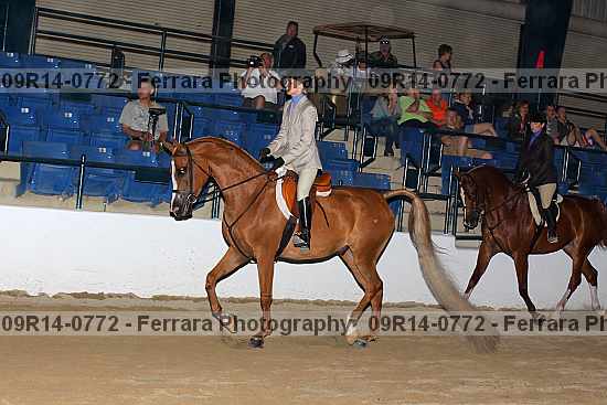 Proof 09r14-0772