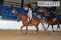09r14-0772 proof