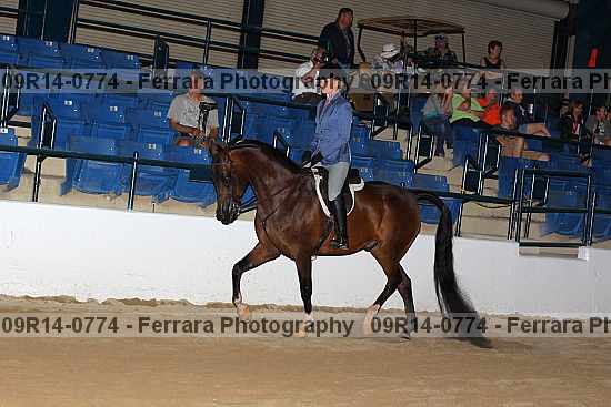 Proof 09r14-0774