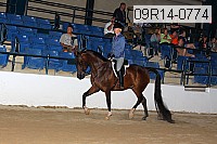 09r14-0774 proof
