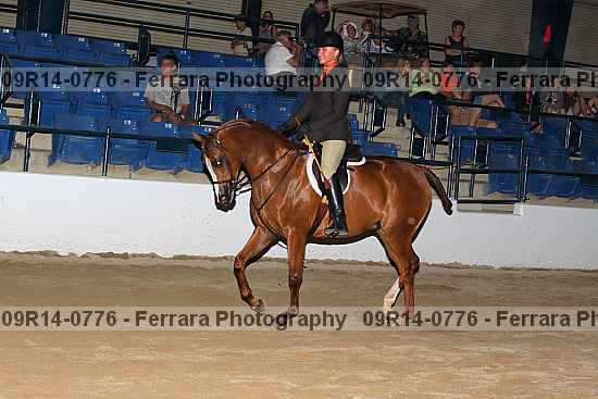 Proof 09r14-0776