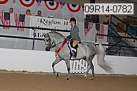 09r14-0782 proof