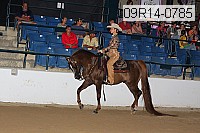 09r14-0785 proof