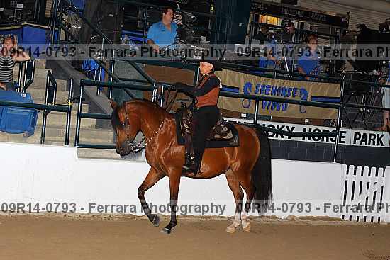 Proof 09r14-0793