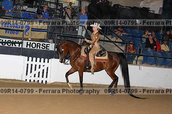 Proof 09r14-0799