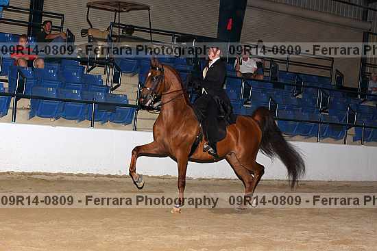 Proof 09r14-0809
