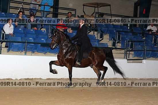 Proof 09r14-0810