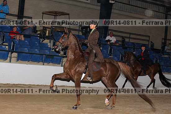 Proof 09r14-0811