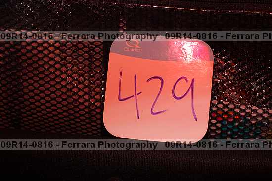 Proof 09r14-0816