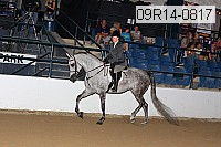 09r14-0817 proof
