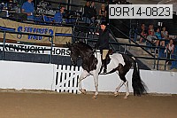 09r14-0823 proof