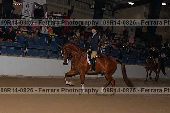 Proof 09r14-0826