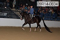 09r14-0834 proof
