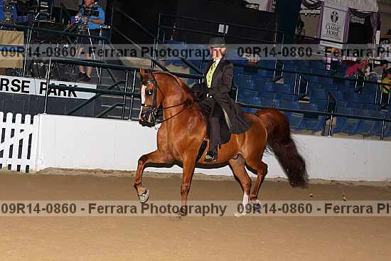 Proof 09r14-0860