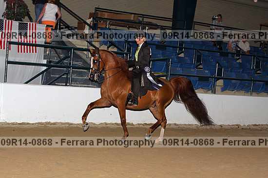 Proof 09r14-0868