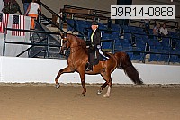 09r14-0868 proof