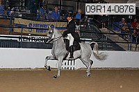 09r14-0876 proof