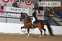 09r14-0882 proof